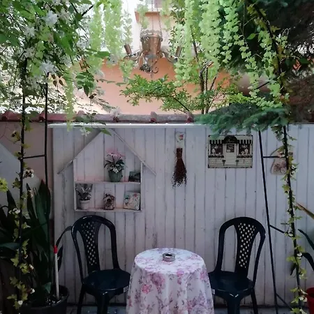 Art Orchidea 게스트하우스