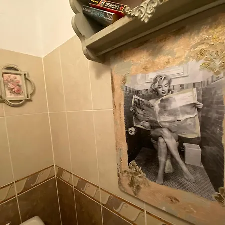 Art Orchidea 게스트하우스 포마리