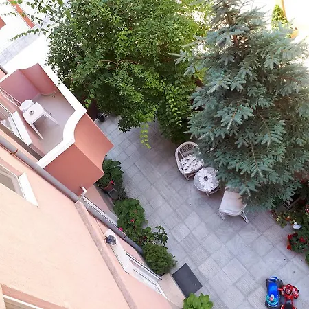 Art Orchidea 게스트하우스