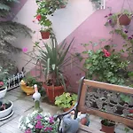 Konukevi Art Orchidea Ahyolu
