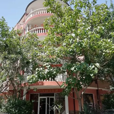 Art Orchidea Pomorie