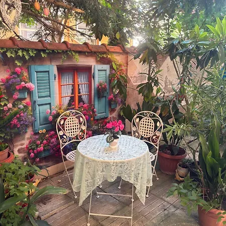 Art Orchidea بوموري