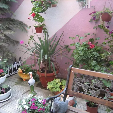 Къща за гости Art Orchidea Поморие