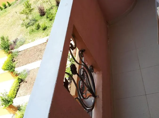 Art Orchidea Πανσιόν 3*