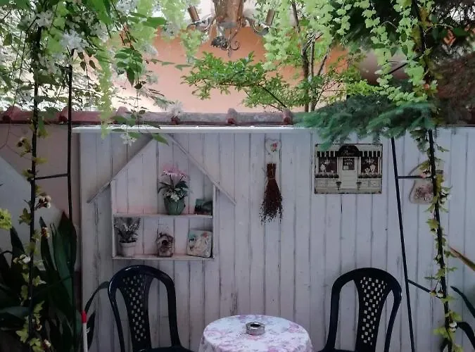 Art Orchidea Πανσιόν