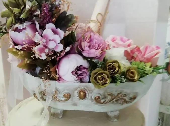 Art Orchidea Πανσιόν Πομόριε