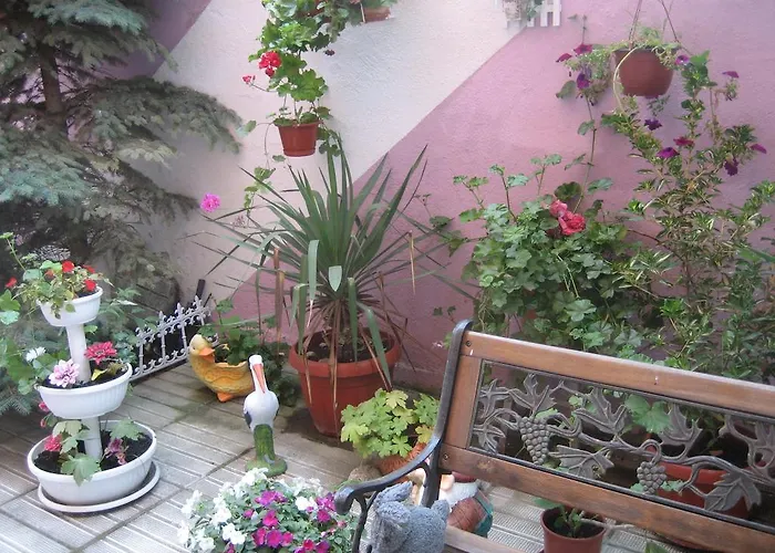 Πανσιόν Art Orchidea Πομόριε